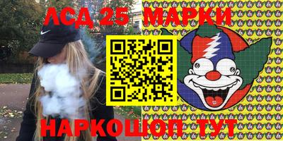 мяу мяу мука Краснознаменск