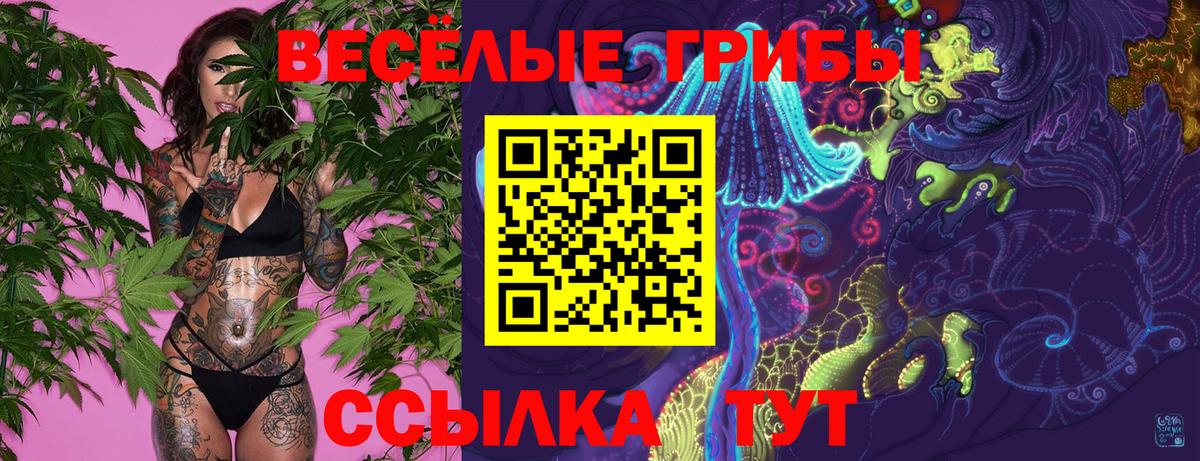 Меф Карпинск